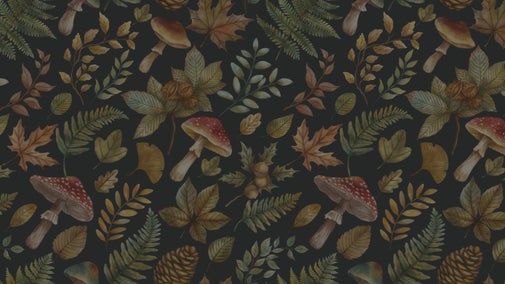 Autumnal leaves, fungi, pinecones form an artistic patterned background